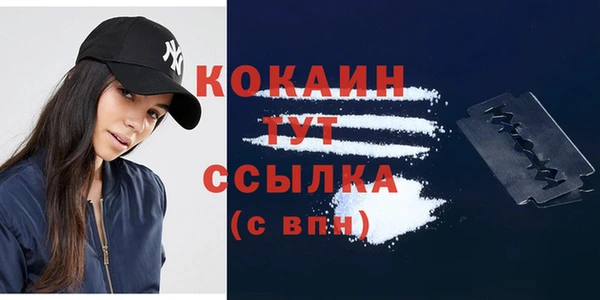 бошки Белокуриха
