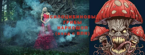 бошки Белокуриха