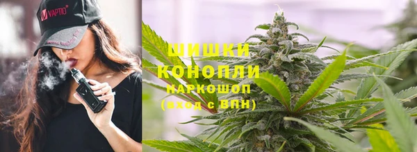 бошки Белокуриха