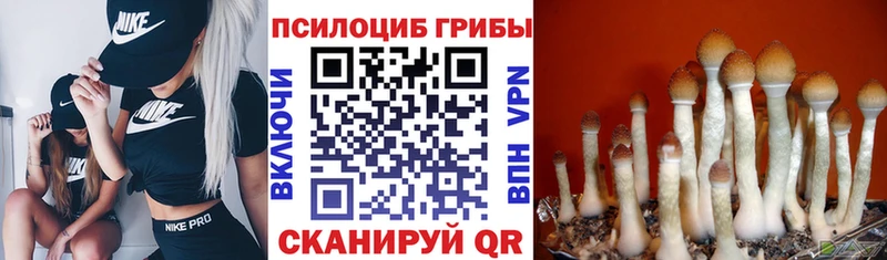 Псилоцибиновые грибы MAGIC MUSHROOMS  Билибино 